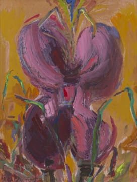 Nel Erasmus; Iris