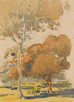 Clément Sénèque; In the Botanical Gardens