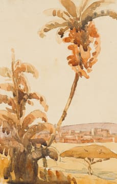 Clément Sénèque; The Botanic Gardens, Durban