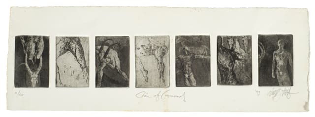 Wim Botha; Chain of Command