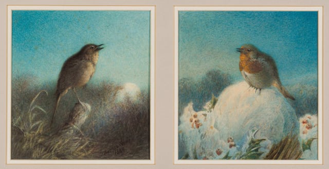 Harrison William Weir; Bird Studies