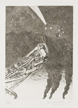 Helmut Starcke; Locust