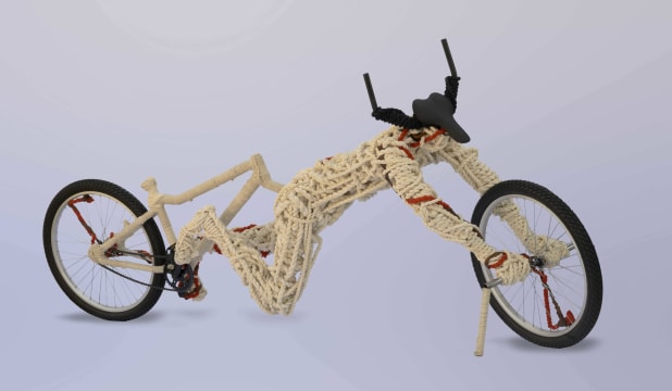 Nkhensani Rihlampfu; Concept of Tenacity