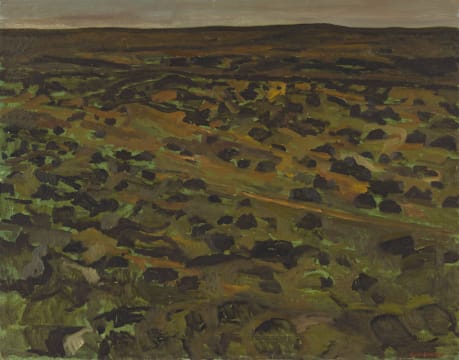 Brian Bradshaw; Landscape