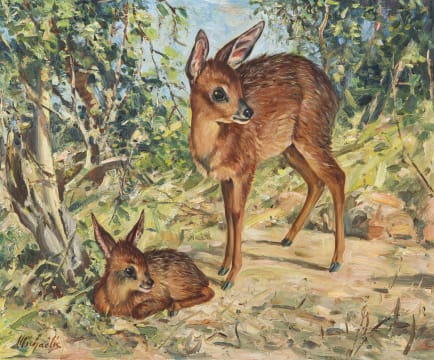 Heinrich von Michaelis; A Pair of Grysbok