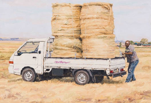 Sipho Ndlovu; Imfuyo