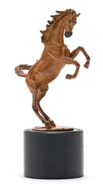 Danie de Jager; Rearing Horse
