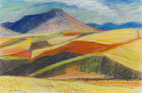 Erik Laubscher; Overberg in November No. 15