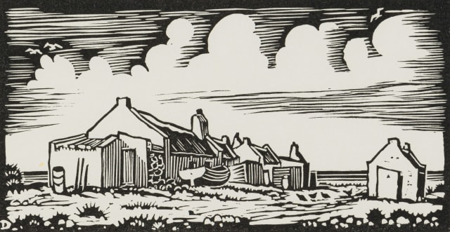 David Botha; Haasvlakte