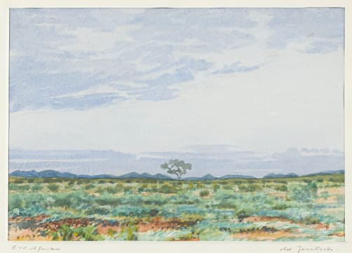 Adolph Jentsch; S.W. Afrika