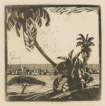 Clément Sénèque; In the Botanical Gardens, Durban