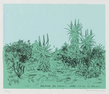 Conrad Botes; Aalwyne en Taaibos Langs die Pad by Malgas