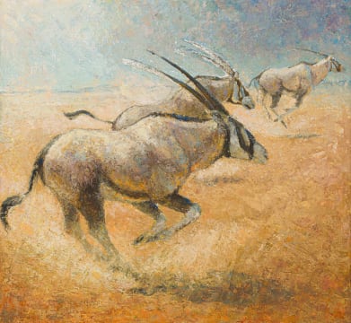 Dorelle Humphrey Sapere; Kalahari Gemsbok