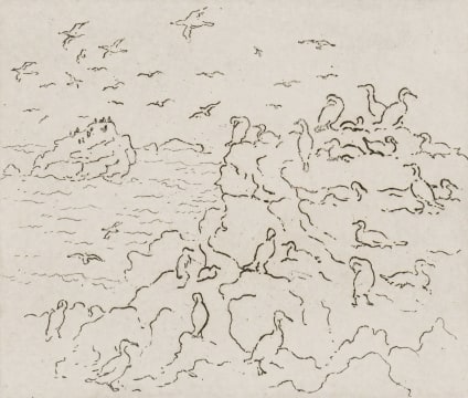 François Krige; Klein Duikers (Cape Cormorants)