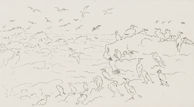 François Krige; Groot Duikers (Great Cormorants)