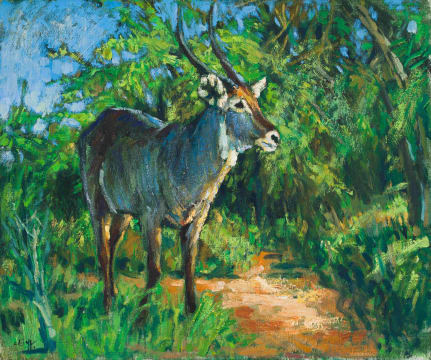 Zakkie Eloff; Waterbuck