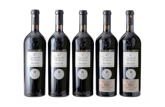Carmelo Rodero; Ribera del Duero Reserva; 2007; 5 (1 x 5); 750ml