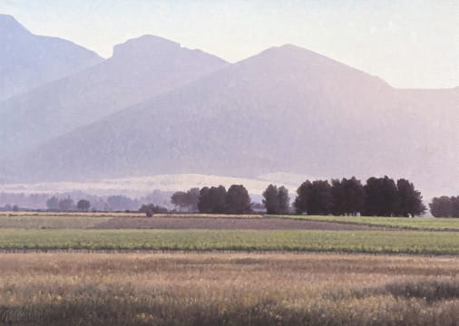 Daan Vermeulen; South of Paarl