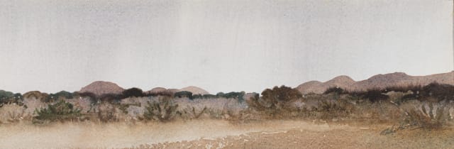 Walter Westbrook; Northern Cape Landscape