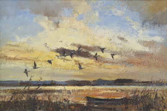 Errol Boyley; Egyptian Geese, Langvlei, CP