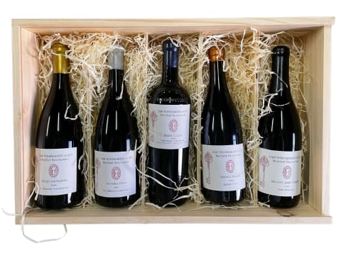 Cape Winemakers Guild; Cape Winemakers Guild Protégé Collection; 2020; 5 (1 x 5); 750ml