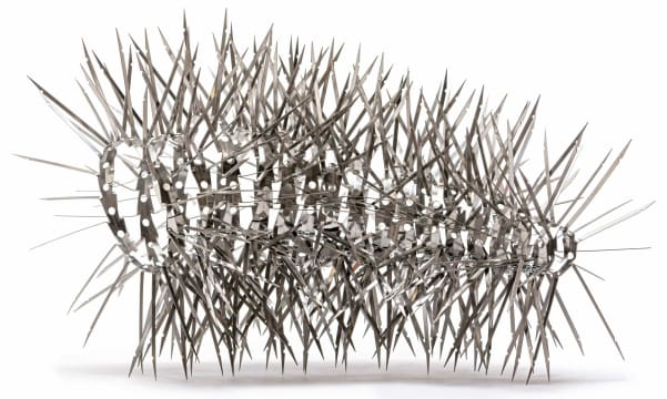 Walter Oltmann; Larva
