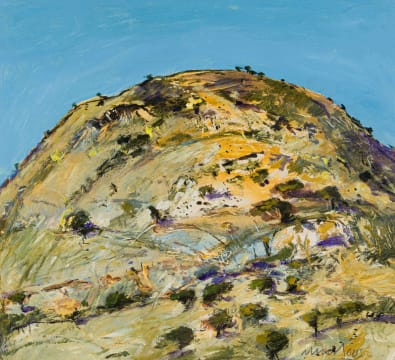Nico Roos; Landscape Namibia No. 5