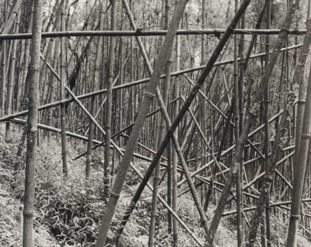 Garth Meyer; Rwanda