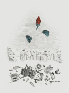 Colin Richards; In the Bud