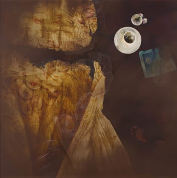 Judith Mason; Abstract India series