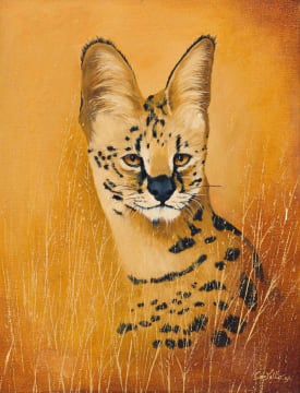Michael Costello; Serval
