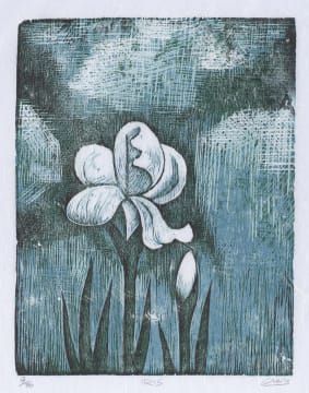 Peter Clarke; Iris