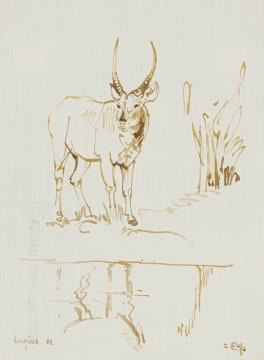 Zakkie Eloff; Waterbuck at a Waterhole