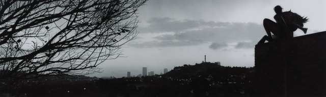 Minnette Vári; Sentinel II