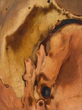 Aileen Lipkin; Fungus Growth