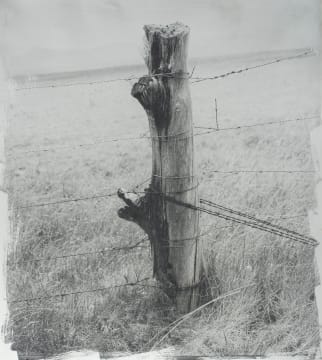 Stephen Inggs; Fencepost