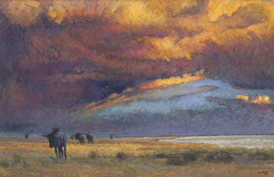 Zakkie Eloff; Etosha