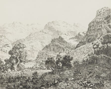 Tinus de Jongh; Sevenweekspoort
