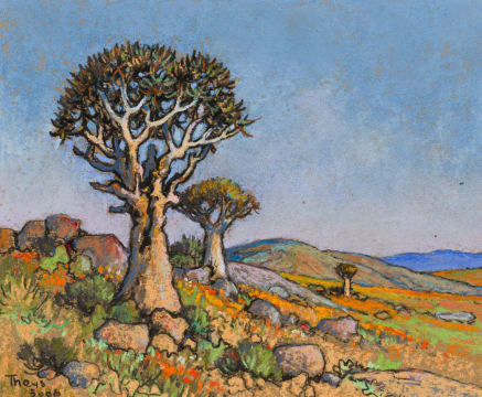 Conrad Theys; Namaqualand