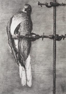 William Kentridge; Bird Catcher