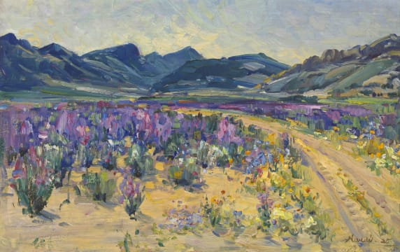 Hugo Naudé; Spring, Namaqualand
