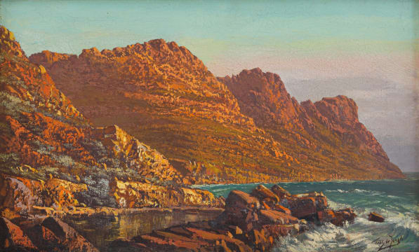 Tinus de Jongh; Cape Coastal Landscape