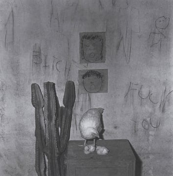 Roger Ballen; Untitled (Bitch)