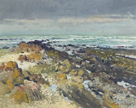 Terence McCaw; Coastal Landscape