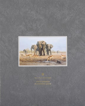 David Shepherd; David Shepherd in South Africa, The SAPPI Selection Series
