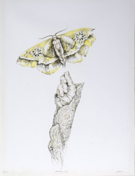 Judith Mason; Mothmask II