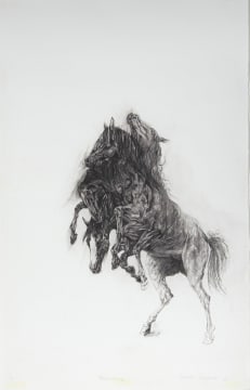 Adriaan Diedericks; Manifestation