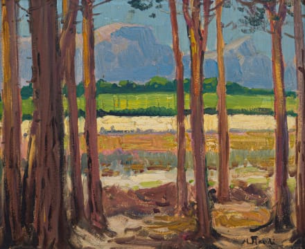 Hugo Naudé; Cape Farmlands