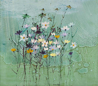George Boys; Cosmos