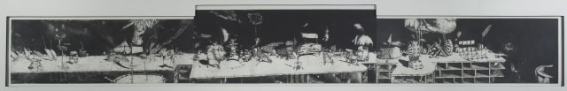 Giulio Tambellini; Rooftop Explorations and the Face Fields